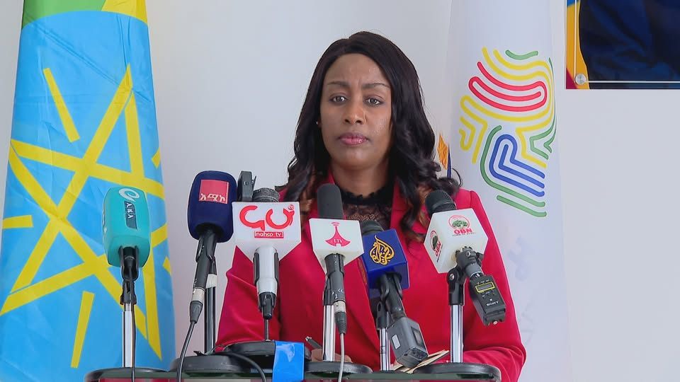 Read more about the article ባለፉት ስድስት ወራት ከ721 ሺህ በላይ ፓስፖርት ተሰራጭቷል-የኢሚግሬሽን እና ዜግነት አገልግሎት