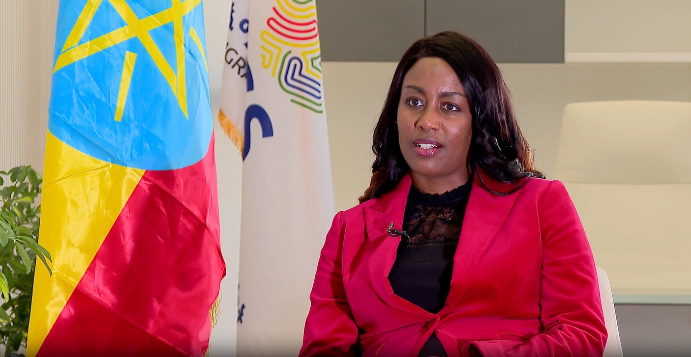 Read more about the article ለአፍሪካ ህብረት ጉባዔ ለሚመጡ እንግዶች ፈጣን የመዳረሻ ቪዛ ለመስጠት በቂ ዝግጅት ተደርጓል