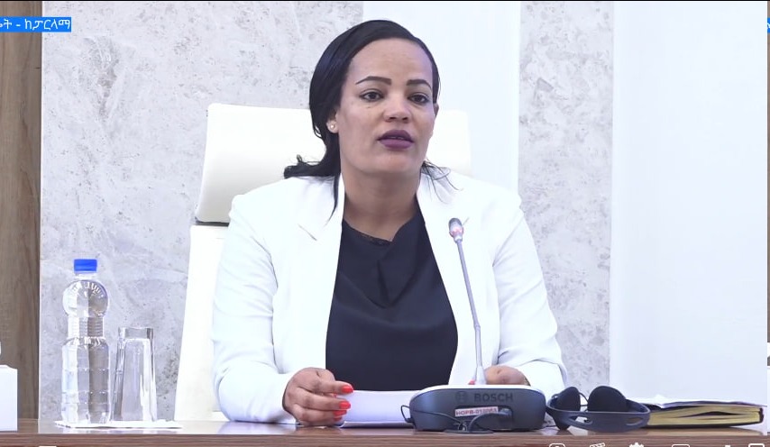 Read more about the article ምክር ቤቱ የፌዴራል የህግና ፍትህ ኢንስቲትዩት ማቋቋሚያ አዋጅን አፀደቀ