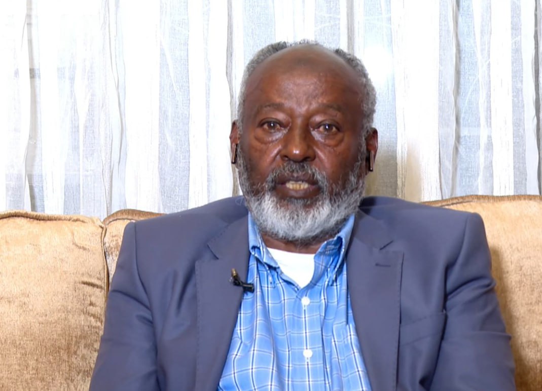 Read more about the article ኢትዮጵያ ለአፍሪካ የነፃነት ቀንዲል ናት – ፕሮፌሰር አህመድ ዘካሪያ