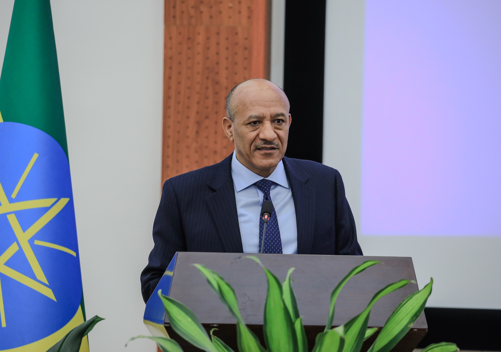 Read more about the article የኢትዮጵያን የማንሠራራት ጉዞ የሚሳካው በተቋሞቻችን ጥንካሬ ነው- ምክትል ጠቅላይ ሚኒስትር ተመስገን ጥሩነህ