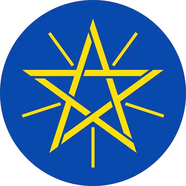 Read more about the article በፊልድ ማርሻል ብርሃኑ ጁላ የተመራ የኢትዮጵያ ልዑክ በሶማሊያ የስራ ጉብኝት አደረገ