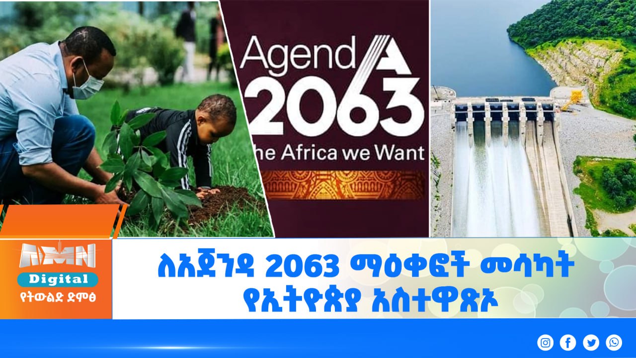 Read more about the article ለአጀንዳ 2063 ማዕቀፎች መሳካት የኢትዮጵያ አስተዋጽኦ