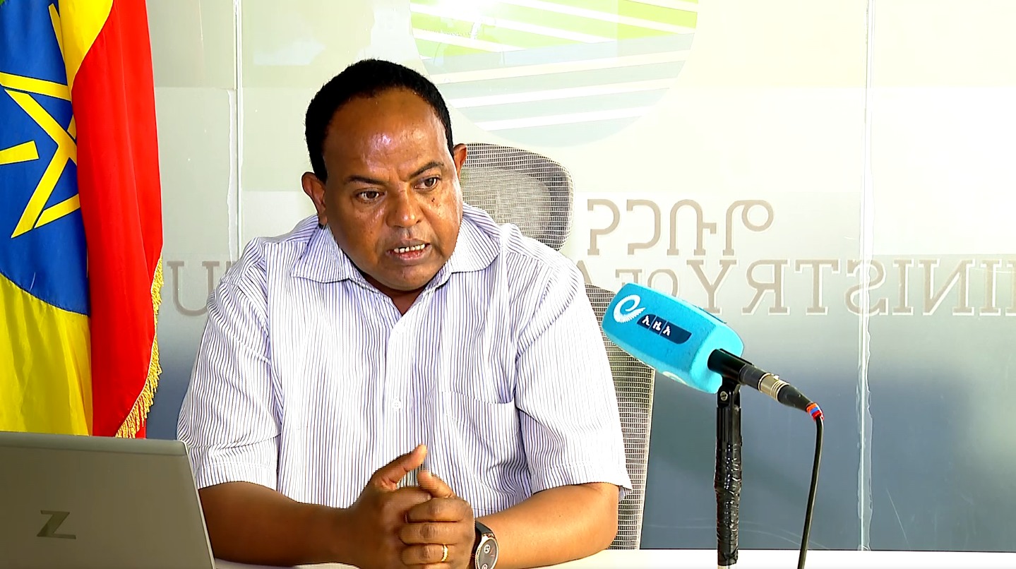 Read more about the article ከህዳሴ ግድብ በቀን ከ14 ሺህ ቶን በላይ የአሳ ምርት እየተገኘ ነው- ግብርና ሚኒስቴር