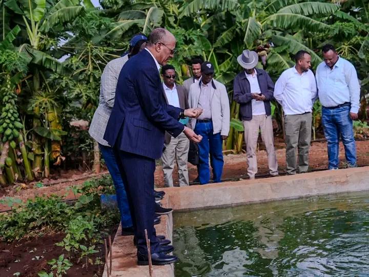 Read more about the article የሌማት ትሩፋት መርሃ ግብር በምግብ እራስን ከመቻል ባለፈ የስራ ዕድል እየፈጠረ ይገኛል -አቶ ተመስገን ጥሩነህ