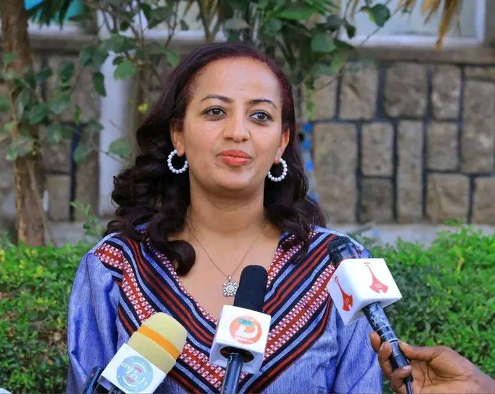 Read more about the article መንግስት ለመጀመሪያ ደረጃ ጤና አገልግሎት ትኩረት ሰጥቶ እየሰራ ነው − ዶ/ር መቅደስ ዳባ