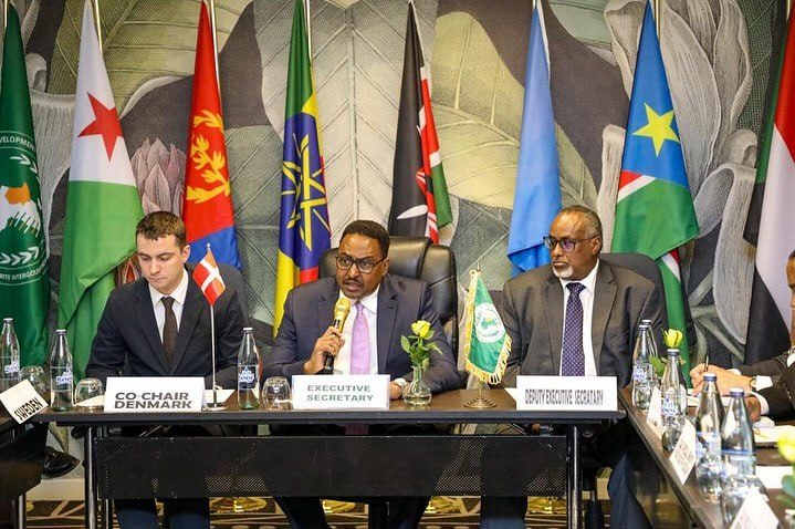 Read more about the article የኢጋድ ቀጣናዊ ሰላም እና ደህንነት ስብስባ በአዲስ አበባ እየተካሄደ ነው