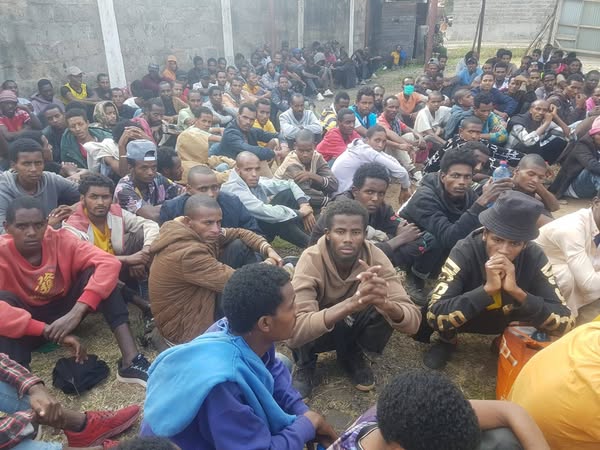 Read more about the article በኬንያ በ18 የተለያዩ እስር ቤቶች የነበሩ 287 ኢትዮጵያዊያን ወደ ሀገራቸው ተመለሱ