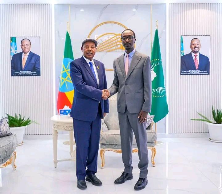 Read more about the article ዶ/ር ጌዲዮን ጢሞቴዎስ በኢትዮጵያ ከእስራኤል አምባሳደር ጋር ተወያዩ