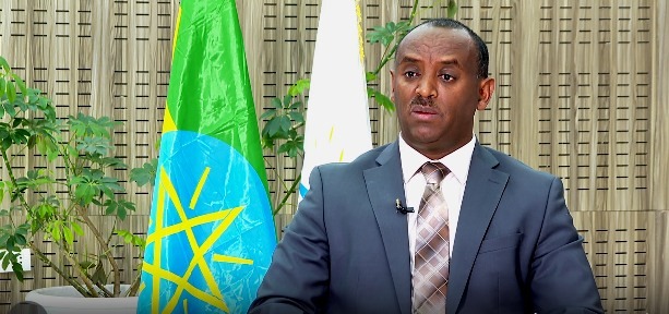 Read more about the article መንግስት ከለውጡ ማግስት ጀምሮ ችግሮችን በሰላም ለመፍታት ያለውን ጽኑ አቋም በተግባር አሳይቷል- የሰላም ሚኒስትር መሐመድ እድሪስ