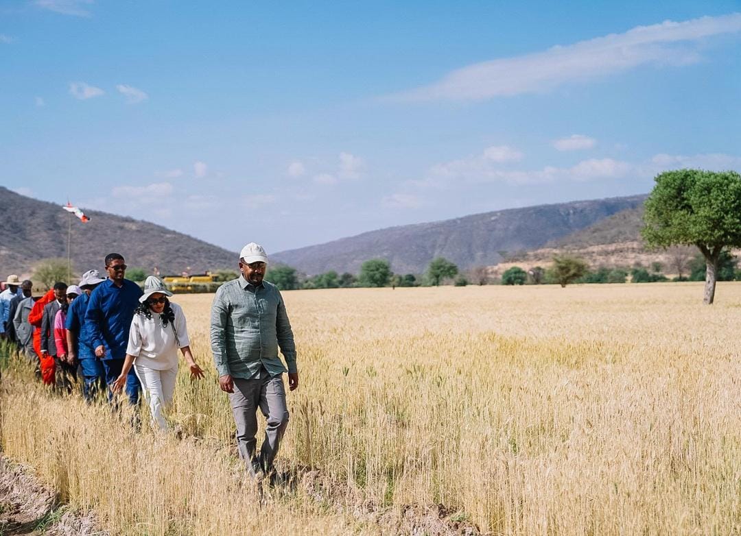 Read more about the article ጠቅላይ ሚኒስትር ዐቢይ አሕመድ (ዶ/ር) በምሥራቅ ሐረርጌ እየለማ የሚገኘውን የበጋ ስንዴ ልማት ጎበኙ
