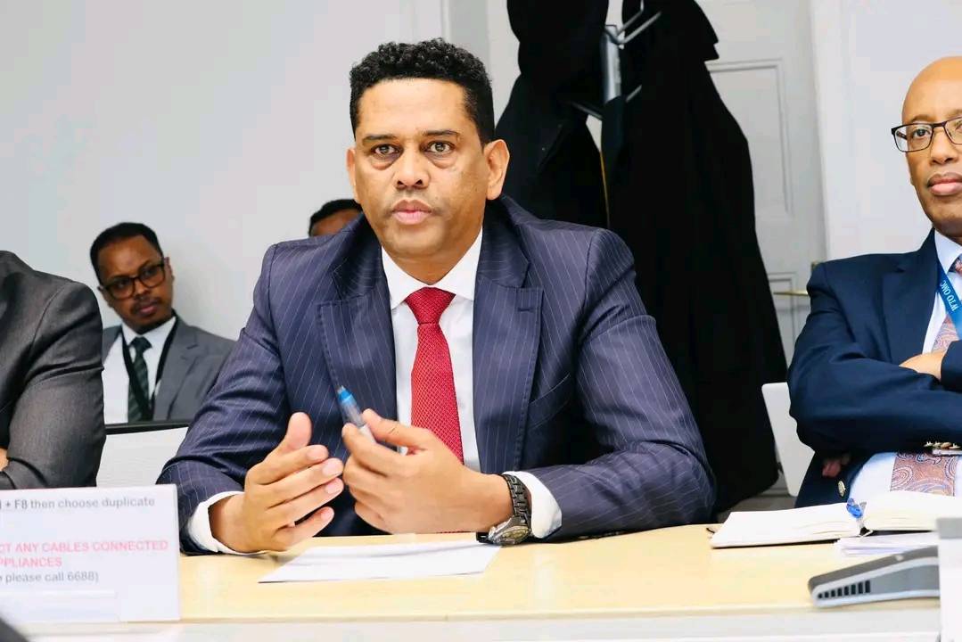 Read more about the article የአውሮፓ ህብረት ላቀረባቸው ጥያቄዎች ከሃገራችን ዘላቂ ጥቅም አንጻር የተቃኙ ምላሾችን ሰጥተናል – ካሳሁን ጎፌ (ዶ/ር)