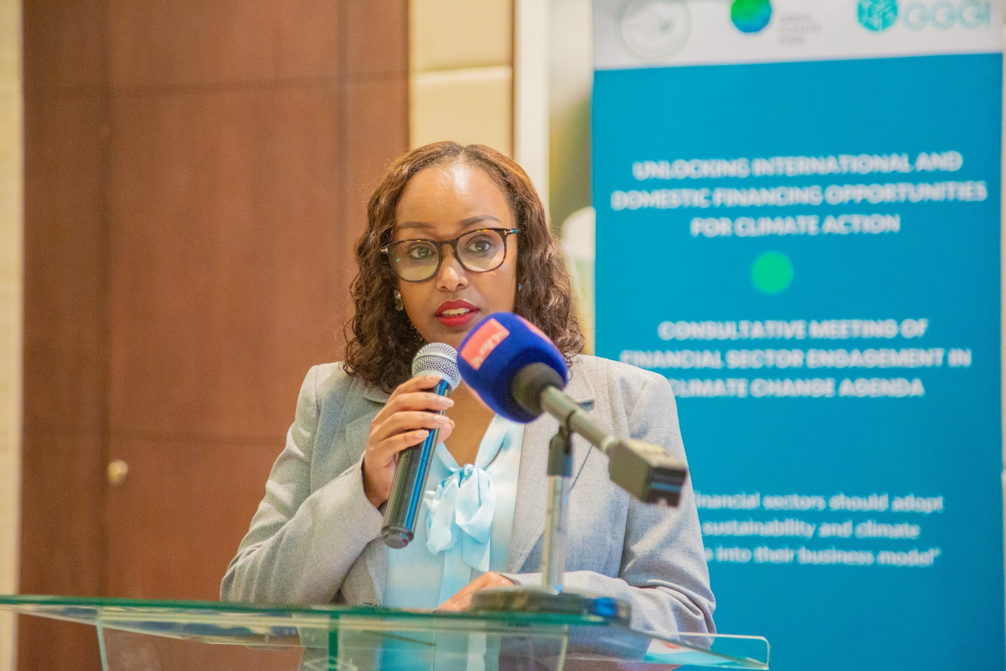 Read more about the article የፋይናንስ ተቋማት ለኢትዮጵያ የአየር ንብረት ለውጥን ለመከላከል የበኩላቸውን ሊወጡ እደሚገባ ተጠየቀ
