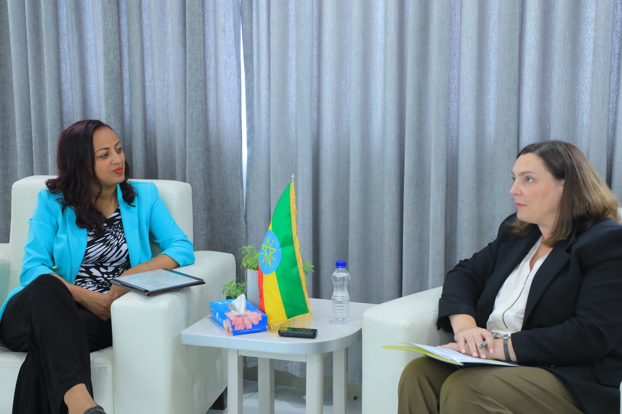 Read more about the article የጤና ሚኒስትር ዶ/ር መቅደስ ዳባ በኢትዮጵያ የአየርላንድ አምባሳደር ጋር ተወያዩ