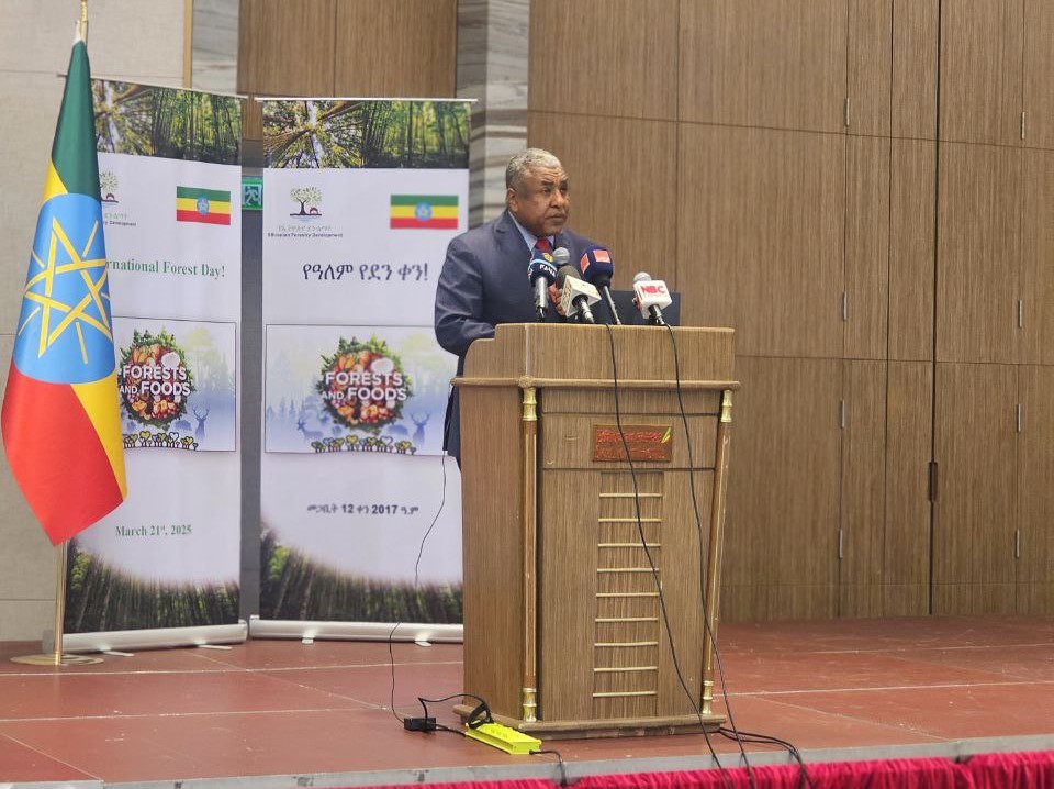 Read more about the article ለ2017 የአረንጓዴ አሻራ መርሀ-ግብር እስካሁን 4 ነጥብ 7 ቢሊየን ችግኞች ተዘጋጅተዋል – ግብርና ሚኒስቴር