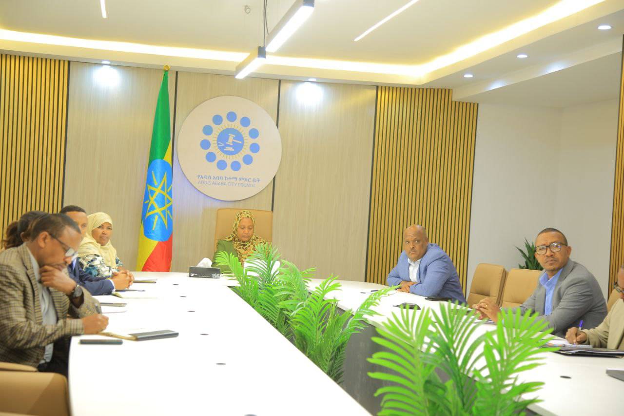 Read more about the article በፍትህ ትራስፎርሜሽን የአዲስ አበባ ከተማ የተሞክሮ ማዕከል እንድትሆን መስራት ይገባል – አፈ ጉባኤ ቡዜና አልከድር