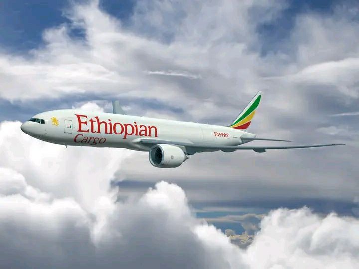 Read more about the article አየር መንገዱ እ.አ.አ በ2025 ራዕዩ በአውሮፕላን ቁጥር እና መዳረሻ ብዛት የያዘውን እቅድ አስቀድሞ አሳክቷል – አቶ መስፍን ጣሰው