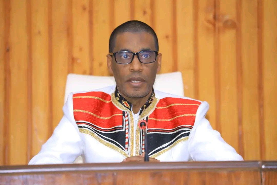 You are currently viewing በክልሉ ባህላዊ ፍርድ ቤቶች የመደበኛ ፍርድ ቤቶችን የስራ ጫና መቀነስ መቻላቸውን አቶ ገዛሊ አባሲመል ገለጹ