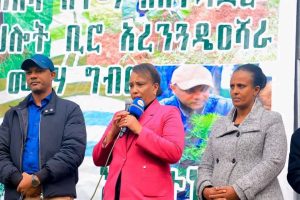Read more about the article የአረንጓዴ አሻራ መርሃ ግብር ለምግብ ዋስትና መረጋገጥ እና ለስራ እድል ፈጠራ አስተዋፅኦ እያበረከተ መሆኑ ተገለጸ
