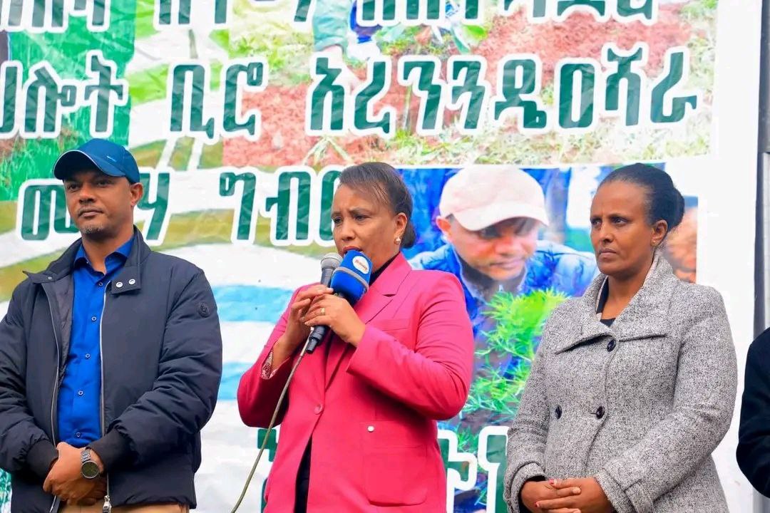 You are currently viewing የአረንጓዴ አሻራ መርሃ ግብር ለምግብ ዋስትና መረጋገጥ እና ለስራ እድል ፈጠራ አስተዋፅኦ እያበረከተ መሆኑ ተገለጸ