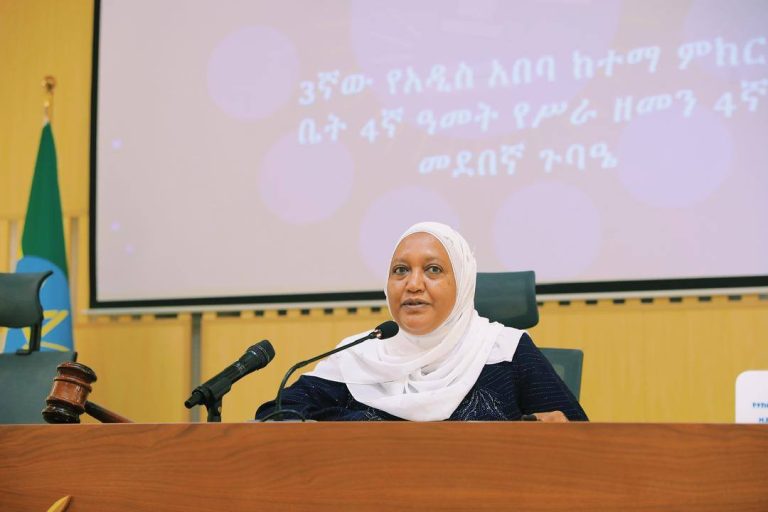 ምክር ቤቱ የአስፈፃሚ አካላት ስልጣንና ተግባር እንደገና ለመወሰን የቀረበውን ረቂቅ የማሻሻያ አዋጅ በሙሉ ድምፅ አፀደቀ