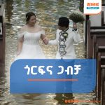 Read more about the article ጎርፍ ያልገደባቸው ሙሸሮች