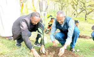 Read more about the article የአረንጓዴ ዐሻራ መርሃ ግብር የኢትዮጵያን የማንሰራራት ዘመን የሚያበስር ሀገራዊ ስኬትና የከፍታ ጉዞ ማሳያ ተግባር ነው
