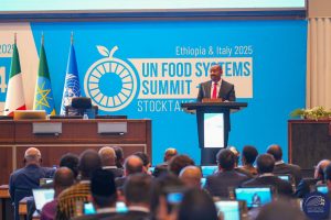 Read more about the article ጊዜው አካታችና ፍትሀዊ የምግብ ሥርዓትን ለማስፈን ሀላፊነት የምንወስድበት ነው ሲሉ ጠቅላይ ሚኒስትር ዐቢይ አሕመድ (ዶ/ር) ገለፁ