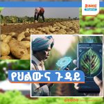 Read more about the article የድንች ሰብል የሚያጠቃ በሽታ አስቀድሞ የሚለይ መተግበሪያ በዝግጅት ላይ መሆኑ ተገለፀ