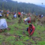 Read more about the article የብልጽግና ፓርቲ አመራሮችና አባላት የአረንጓዴ አሻራ መርሃ ግብር አካሄዱ