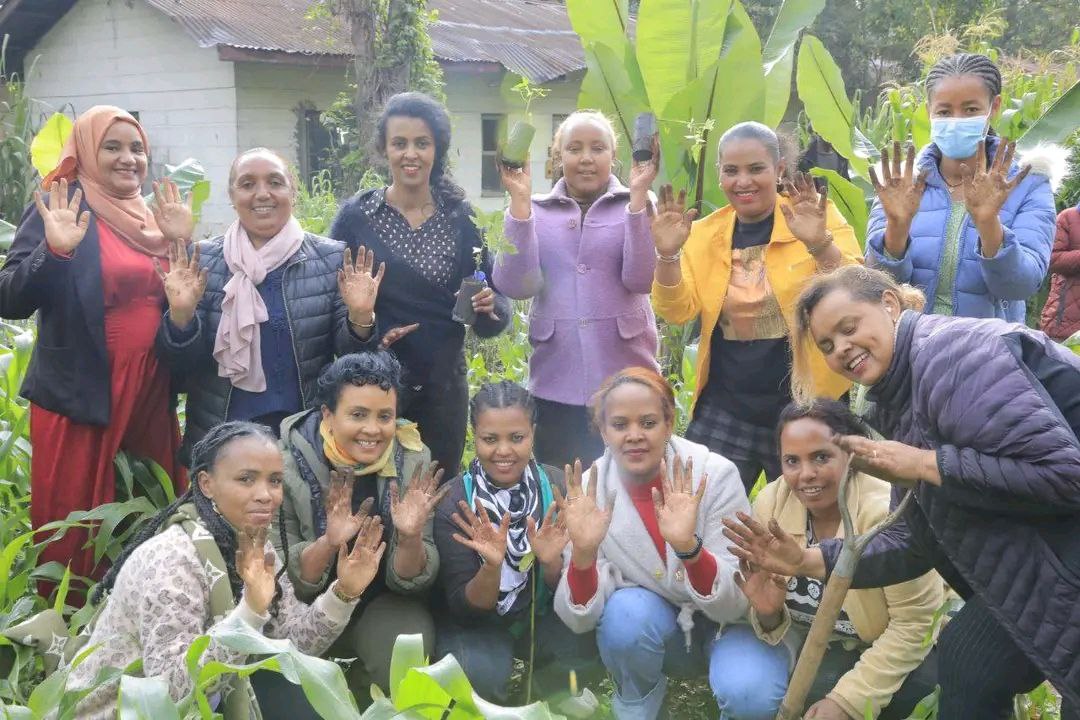 You are currently viewing የመዲናዋ ሴቶች በአንድ ጀምበር 700 ሚሊዮን ችግኞችን ለመትከል በተያዘዉ ሃገር አቀፍ መርሃ ግብር ላይ ለመሳተፍ ዝግጁ መሆናቸዉን ገለጹ