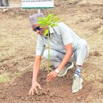 Read more about the article የአረንጓዴ አሻራ መርሃ ግብር የተፈጥሮ ሃብትን የመጠበቅና የምግብ ዋስትና መሰረት መሆኑን ርዕሰ መስተዳድር አወል አርባ ገለጹ