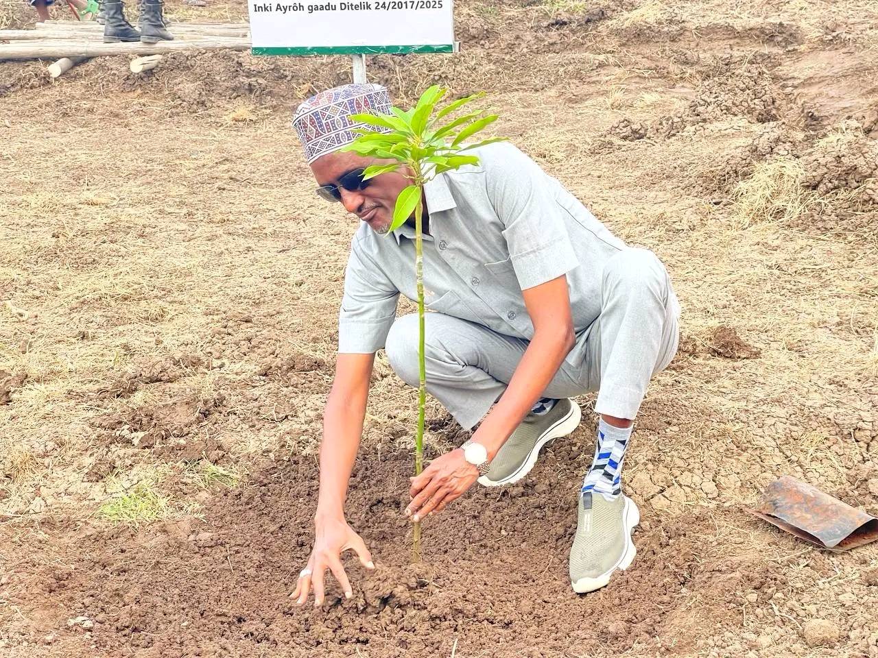 You are currently viewing የአረንጓዴ አሻራ መርሃ ግብር የተፈጥሮ ሃብትን የመጠበቅና የምግብ ዋስትና መሰረት መሆኑን ርዕሰ መስተዳድር አወል አርባ ገለጹ