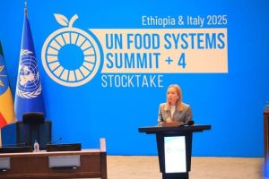 Read more about the article ማምረት ብቻ ሳይሆን አስተማማኝ የምርት ስርጭት ሰንሰለትን መፍጠር እንደሚገባ ተገለፀ