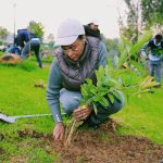 Read more about the article ማህበረሰቡ በጋራ ተስማምቶ ከሰራቸው ትላልቅ ሀገራዊ አጀንዳዎች ውስጥ አንዱ አረንጓዴ አሻራ መሆኑን ከንቲባ አዳነች አቤቤ ገለጹ