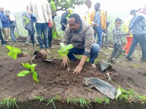 Read more about the article ለሀገር እድገትና ብልጽግና እንዲሁም ማንሰራራት የዛሬ ትጋት ወሳኝ መሆኑን ርዕሰ መስተዳድር ነጋሽ ዋጌሾ (ዶ/ር ኢ/ር) ገለጹ