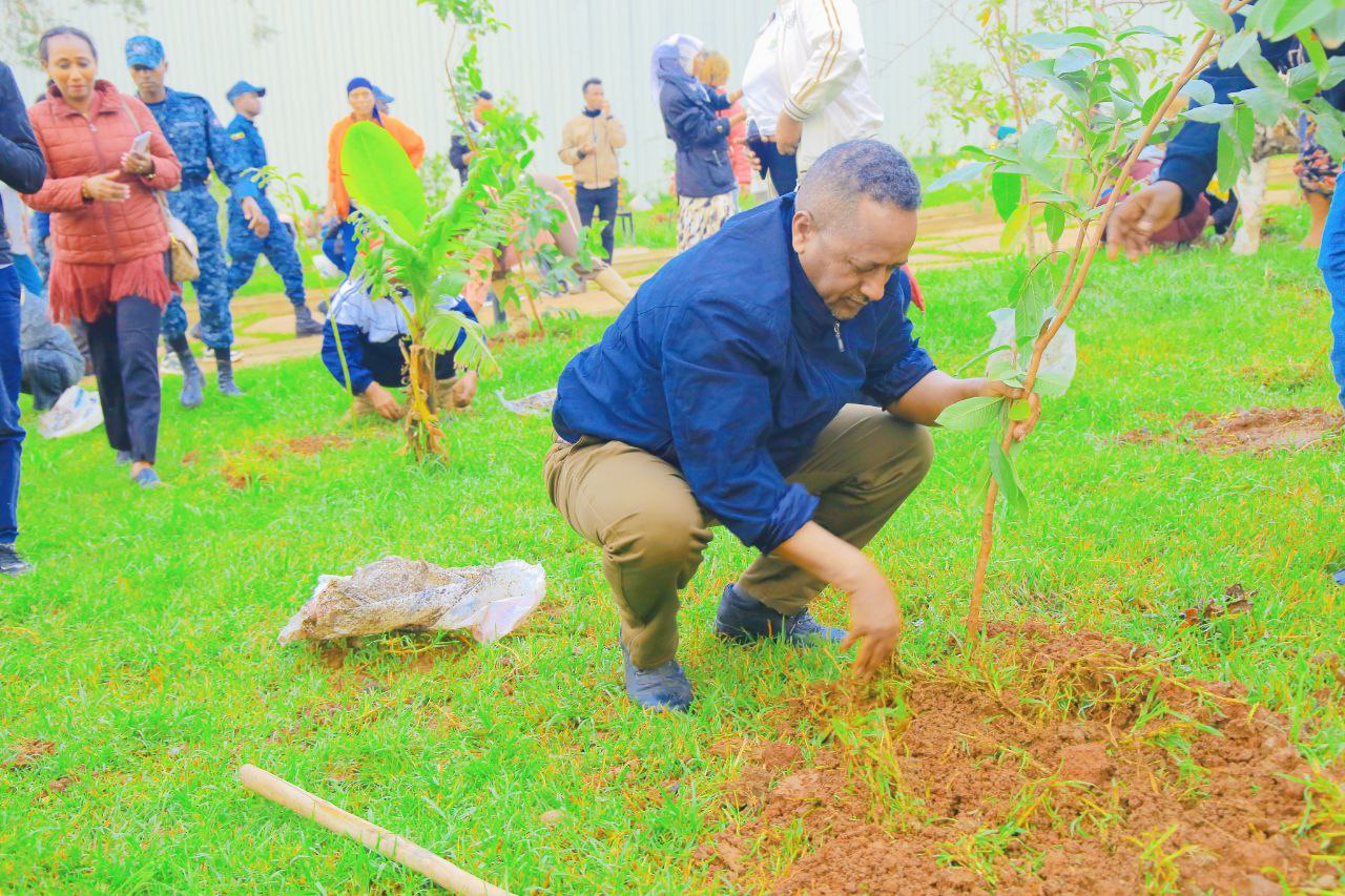 You are currently viewing ምክትል ከንቲባ ጃንጥራር አባይ በካዛንቺስ የመልሶ ማልማት እና የኮሪደር ልማት ስራ የሚካሄደውን የአንድ ጀንበር የአረንጓዴ አሻራ መርሃግብር ግብር አስጀምረዋል