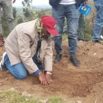Read more about the article የአንድ ጀምበር ችግኝ ተከላ በትግራይ ክልል