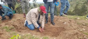 Read more about the article የአንድ ጀምበር ችግኝ ተከላ በትግራይ ክልል