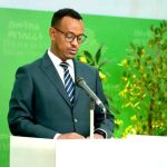 Read more about the article የአንድ ጀንበር የአረንጓዴ አሻራ መርሀ ግብር ተጀመረ