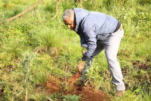Read more about the article አረንጓዴ አሻራ ኢትዮጰያ ያሰበችውን ግብ ማሳካት እንደምትችል ማሳያ መሆኑን ግርማ አመንቴ (ዶ/ር) ገለጹ