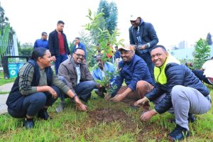 Read more about the article የብልፅግና ፓርቲ ዋና ጽ/ቤት እና የአዲስ አበባ ብልፅግና ቅ/ጽ/ቤት ከፍተኛ አመራሮችና ሰራተኞች የአረንጓዴ አሻራቸውን አኑረዋል
