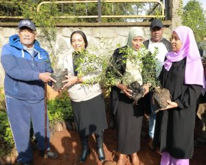 Read more about the article ሀገር የምትገነባው በዜጎቿ አብሮነት እና በሚያበረክቱት አስተዋጽኦ ነው ሲሉ ኤርጎጌ ተስፋዬ (ዶ/ር) ተናገሩ