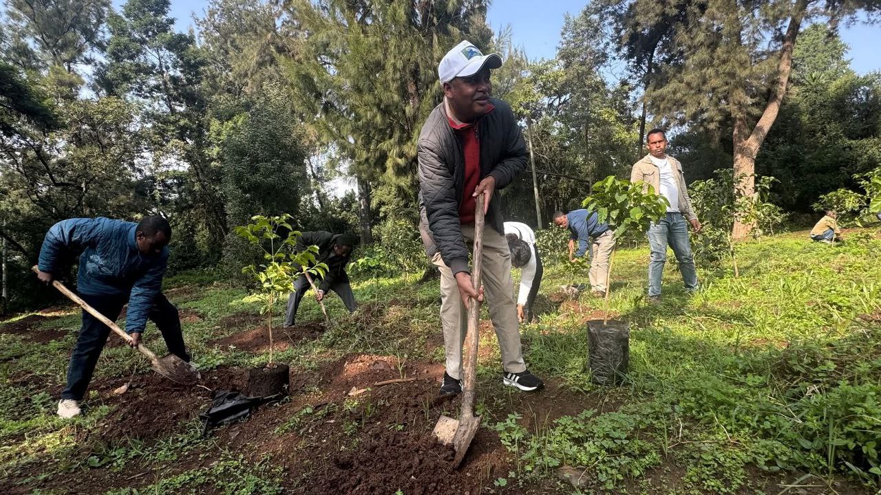 You are currently viewing አረንጓዴ ዐሻራ የምግብ ዋስትና እንዲረጋገጥ እና ሌማት እንዲሞላ እያደረገ እንደሆነ ለገሰ ቱሉ (ዶ/ር) አመላከቱ