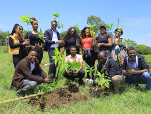 Read more about the article የአረንጓዴ አሻራ መርሐ-ግብር የምግባ ዋስትናን ለማረጋገጥ የሚያስችሉ ውጤቶች የተገኙበት መሆኑን የመንግሥት ኮሙኒኬሽን አገልግሎት ገለጸ