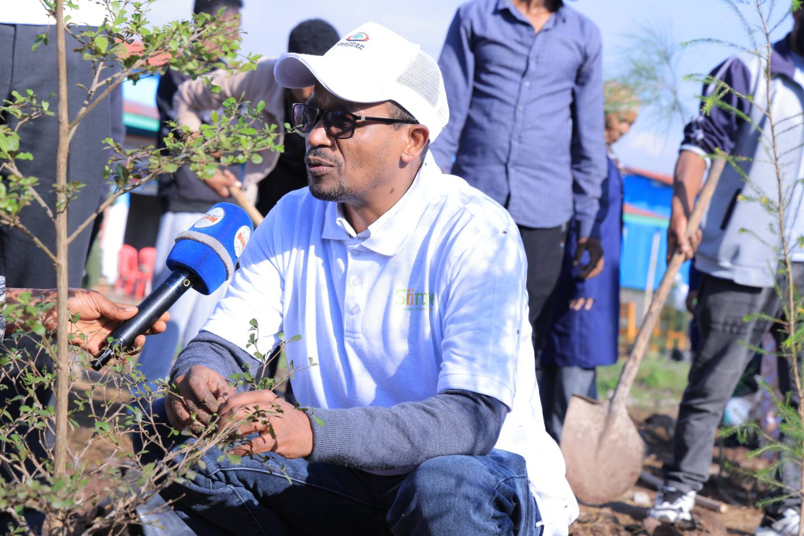 You are currently viewing የ‎ሲንቄ ባንክ አመራርና ሰራተኞች በሸገር ከተማ የአረንጓዴ አሻራ መርሃ ግብር አካሄዱ