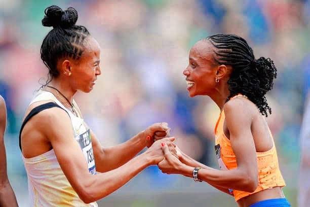 You are currently viewing የጉዳፍ ጸጋይና ቢትሪስ ቺቤት የፖላንዱ ፍጥጫ