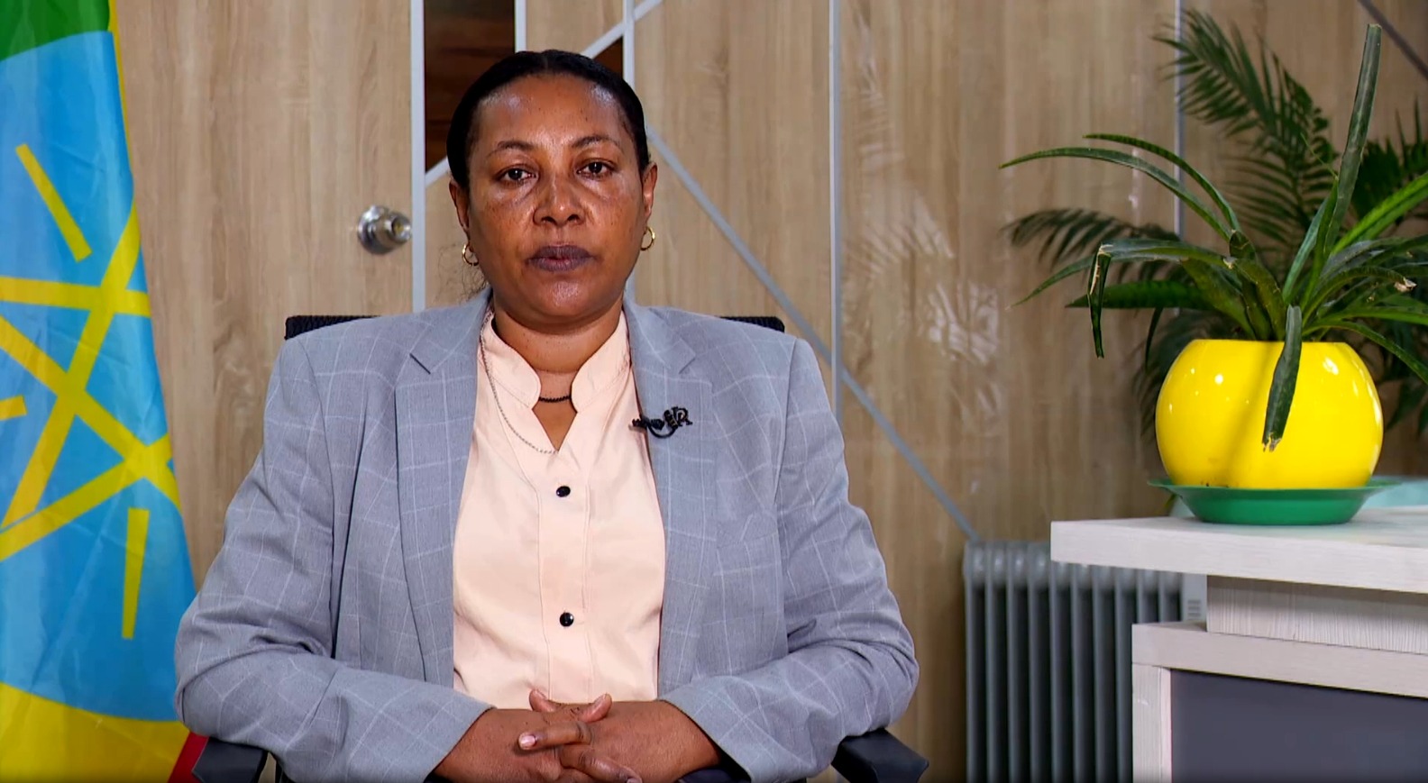 You are currently viewing በተጠናቀቀው በጀት ዓመት ከ308 ቢሊዮን ብር በላይ ግዥ በኤሌክትሮኒክ ስርዓት ተፈፅሟል