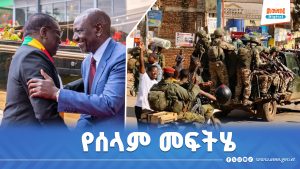 Read more about the article የአፍሪካ ህብረት በምስራቅ ዲሞክራቲክ ሪፐብሊክ ኮንጎ ባለው ግጭት ሁሉንም የሰላም መፍትሄዎችን እየወሰደ ነው