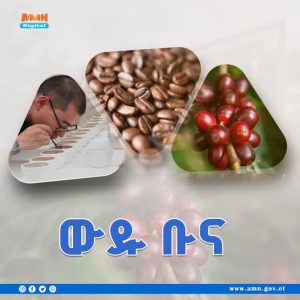 Read more about the article በኪሎ 30 ሺህ 204 ዶላር የተሸጠው ቡና